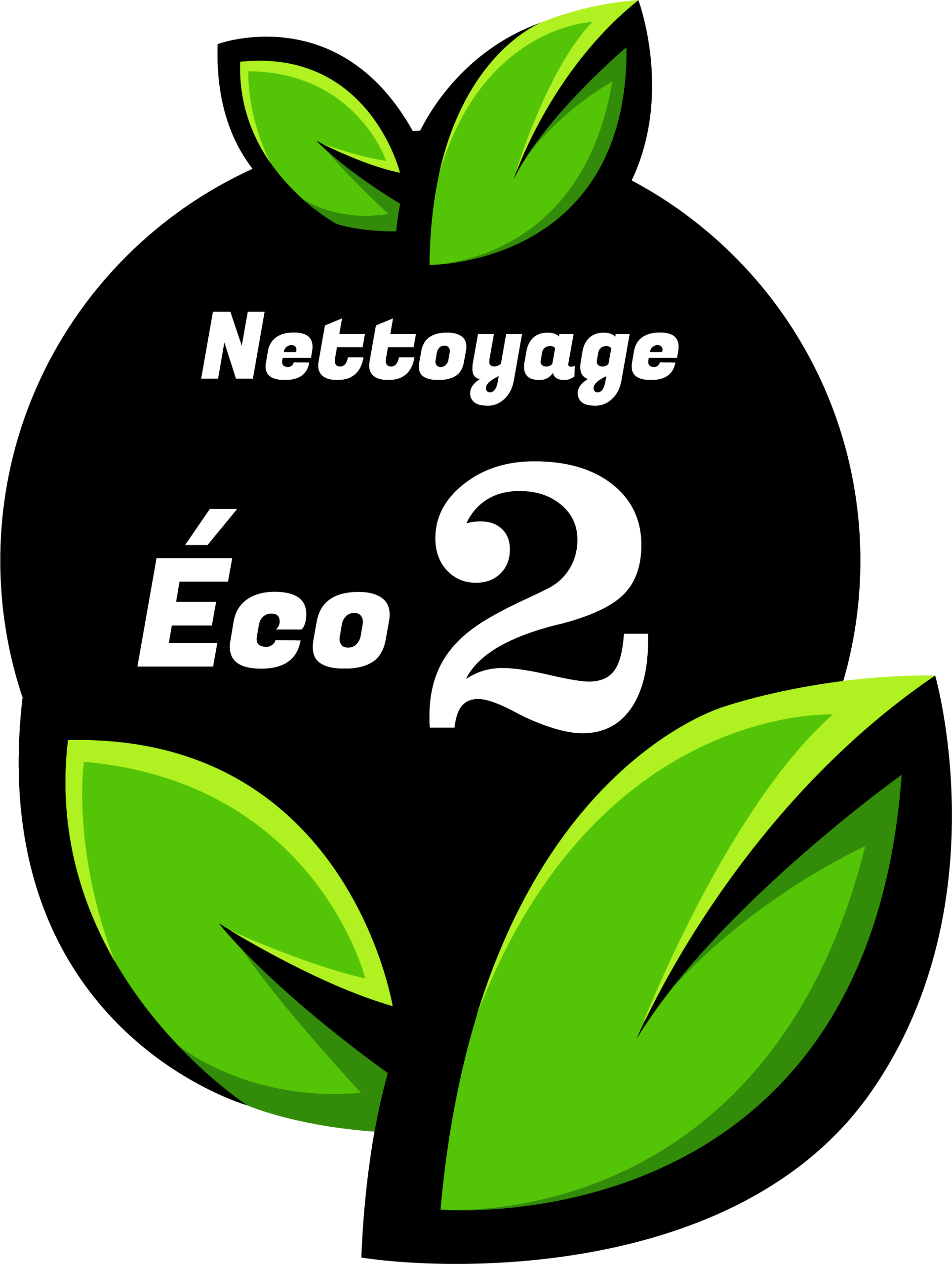Dépollution moteur