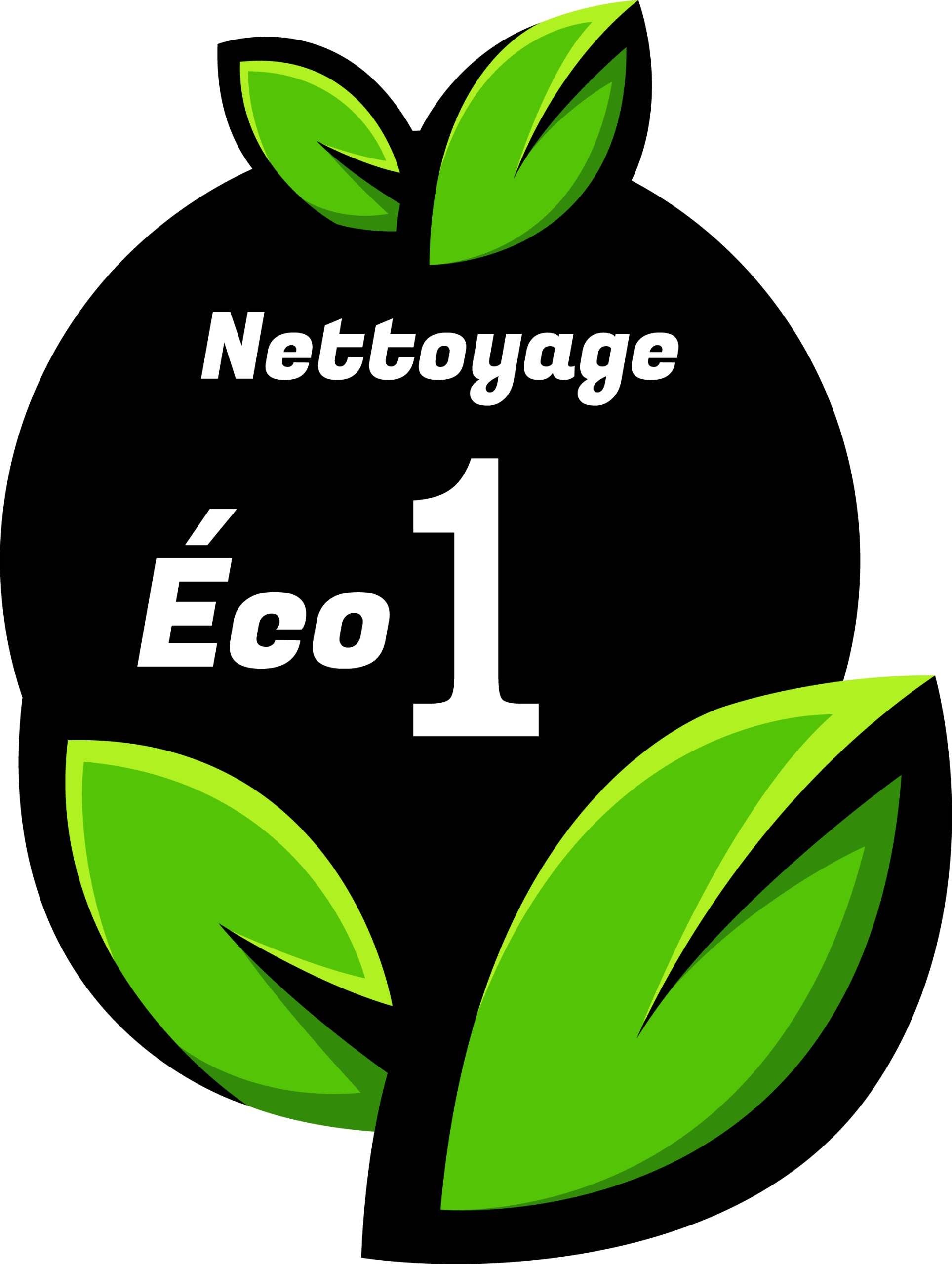 Dépollution moteur