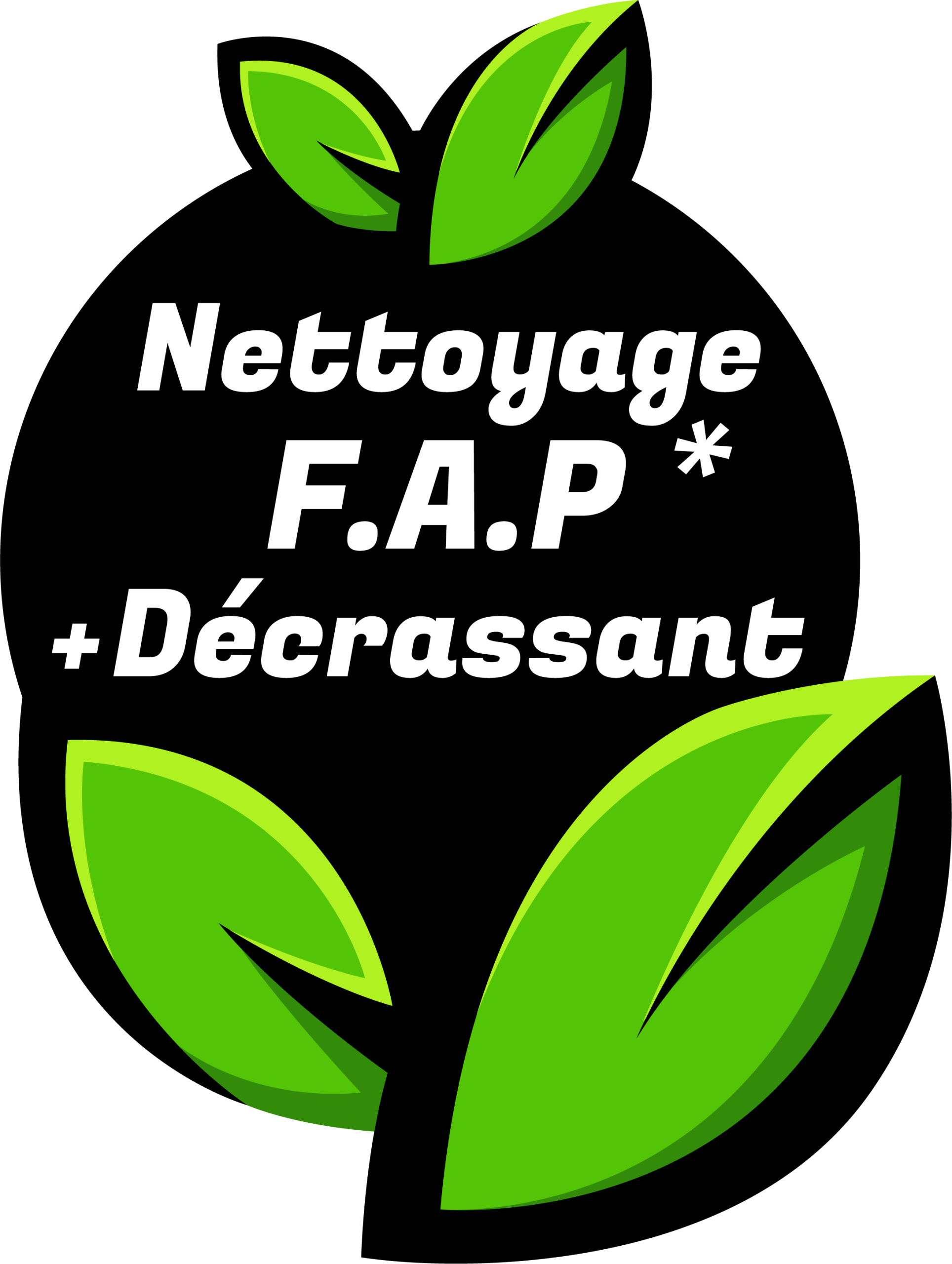 Nettoyage moteur